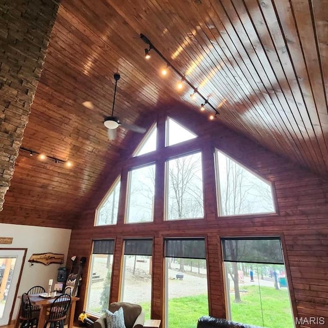 detailed view of rail lighting and wooden ceiling