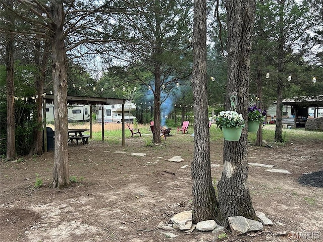 6423 Cedar Lake Dr, Bonne Terre, MO 63628 - view of home's community