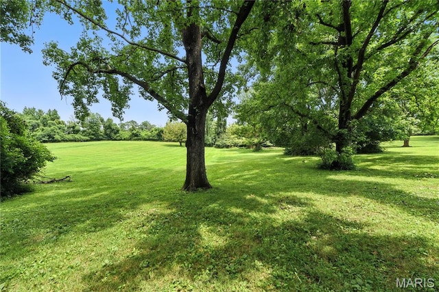 12321 Rossridge Ct, Saint Louis, MO 63146 - photo 25