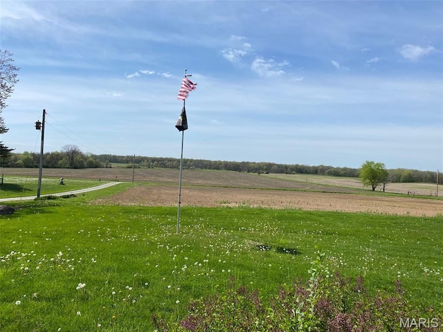 25127 N 16th Ave, Nokomis, IL 62075 - surrounding community featuring a view of rural / pastoral area and a lawn