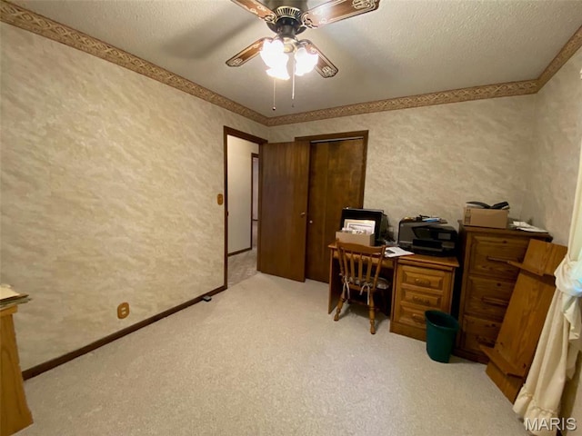 25127 N 16th Ave, Nokomis, IL 62075 - carpeted home office with a ceiling fan, a textured wall, and a textured ceiling