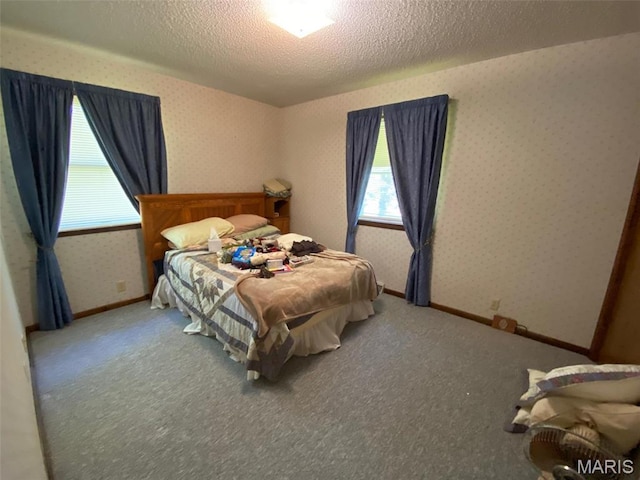 25127 N 16th Ave, Nokomis, IL 62075 - bedroom featuring multiple windows, wallpapered walls, carpet floors, a textured ceiling, and baseboards