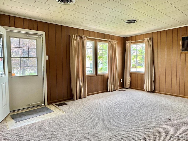 503 Frankford Rd, Louisiana, MO 63353 - carpeted empty room featuring wooden walls and baseboards
