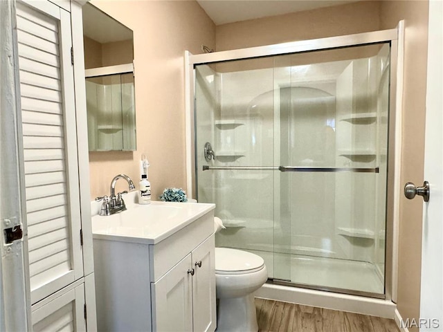 503 Frankford Rd, Louisiana, MO 63353 - full bath featuring a shower stall, wood finished floors, vanity, and toilet