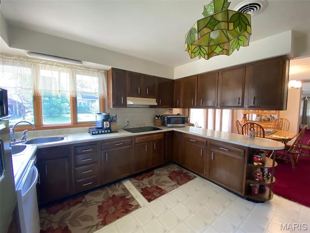 123 S Oak St, Nokomis, IL 62075 - kitchen featuring stainless steel microwave, under cabinet range hood, a sink, and light countertops