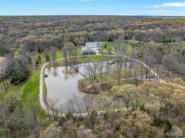 20054 Shady Tree Ln, Warrenton, MO 63383 - photo 49