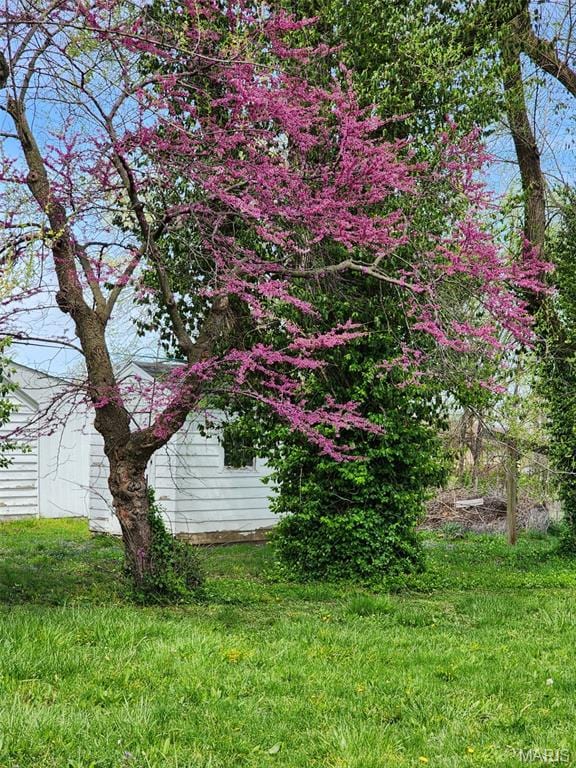 340 Kemper St, Troy, MO 63379 - view of yard