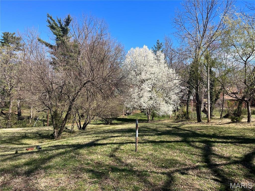8513 Roanoke Dr, Saint Louis, MO 63121 - view of green lawn