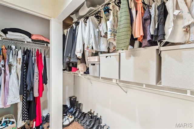 view of walk in closet
