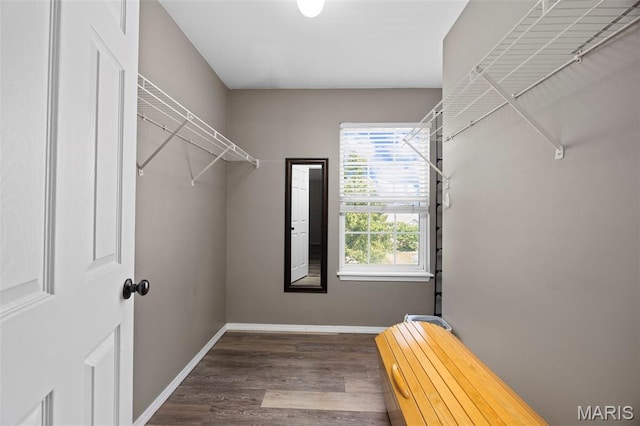 416 Briarchase Pl, Lake St Louis, MO 63367 - walk in closet with wood finished floors