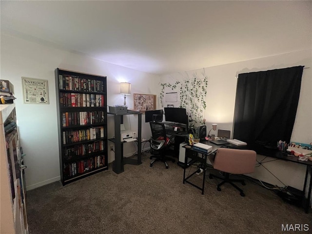 office area featuring carpet floors