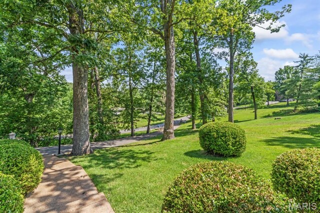 8 Balcon Ests, Creve Coeur, MO 63141 - photo 59