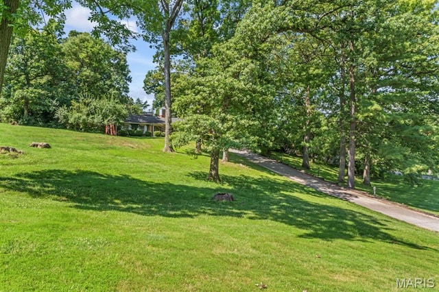 8 Balcon Ests, Creve Coeur, MO 63141 - photo 62