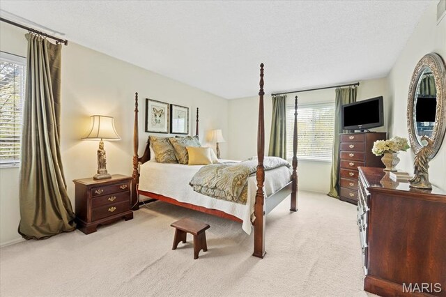 889 Almond Hill Ct, Manchester, MO 63021 - bedroom featuring multiple windows, light colored carpet, and a textured ceiling