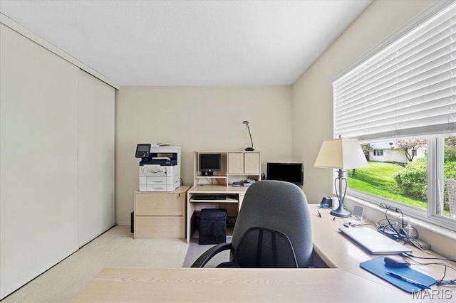 889 Almond Hill Ct, Manchester, MO 63021 - office with carpet