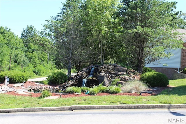 319 Pintail Ln, Poplar Bluff, MO 63901 - photo 3