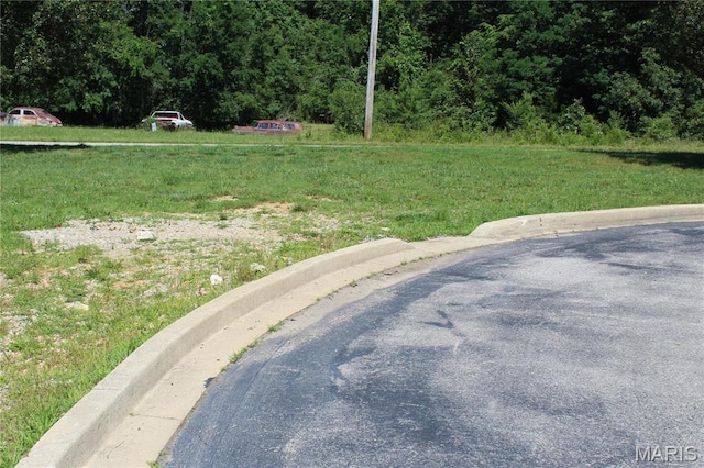 319 Pintail Ln, Poplar Bluff, MO 63901 - photo 7