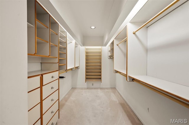 303 N Meramec Ave Unit 202, Saint Louis, MO 63105 - spacious closet featuring light colored carpet