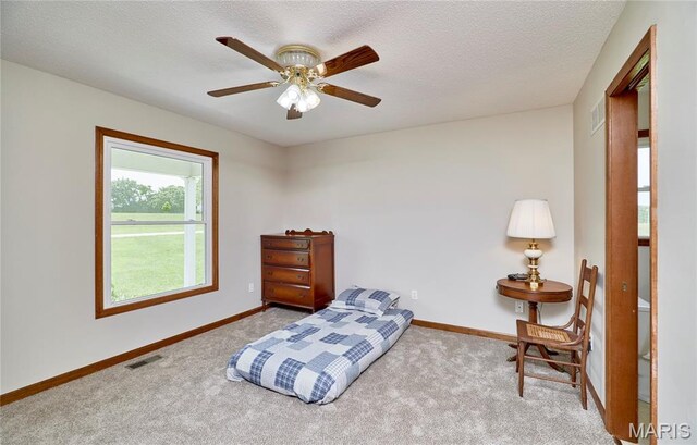 270 Purple Martin Ln, Sullivan, MO 63080 - photo 11