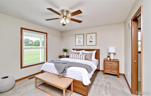 270 Purple Martin Ln, Sullivan, MO 63080 - photo 12