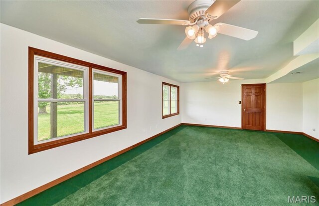 270 Purple Martin Ln, Sullivan, MO 63080 - photo 25