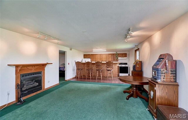 270 Purple Martin Ln, Sullivan, MO 63080 - photo 27