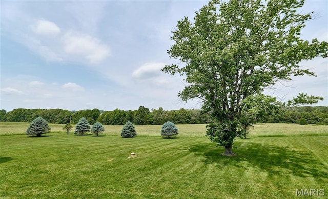 270 Purple Martin Ln, Sullivan, MO 63080 - photo 35