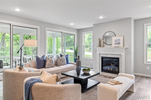 living area with baseboards, wood finished floors, a glass covered fireplace, and recessed lighting