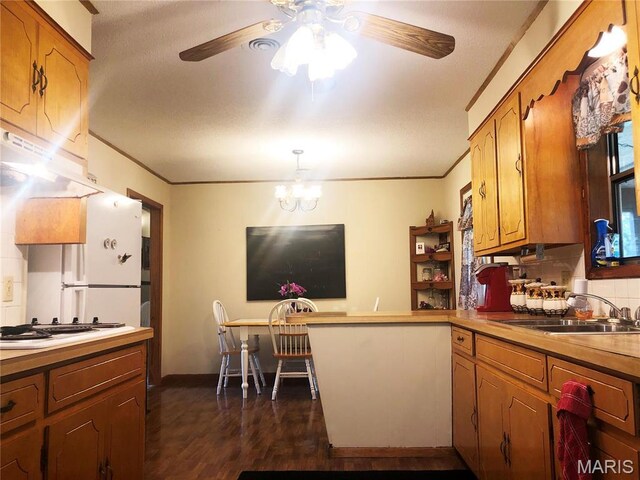 1204 W Grant St, Dexter, MO 63841 - kitchen with a sink, brown cabinets, crown molding, dark wood-style flooring, and ceiling fan