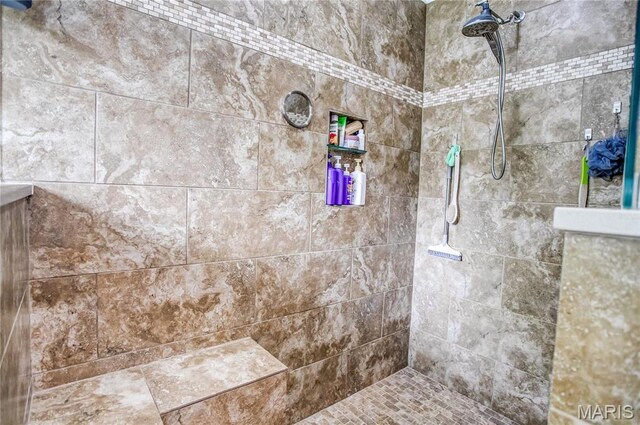 1302 Walnut St, Jerseyville, IL 62052 - bathroom with a tile shower