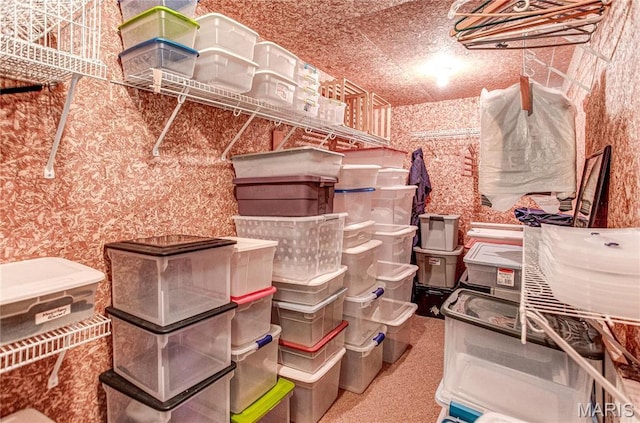 1302 Walnut St, Jerseyville, IL 62052 - view of storage room