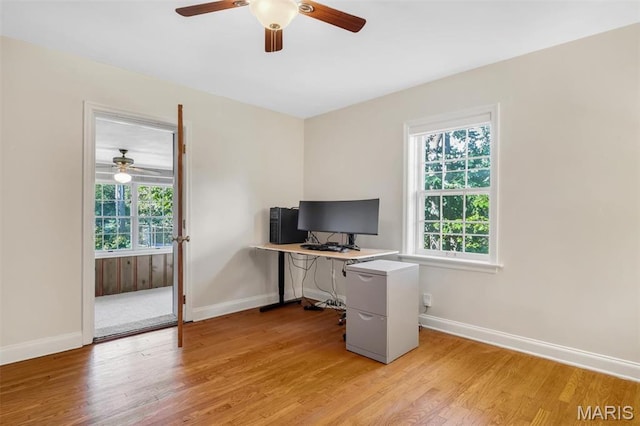 7423 Tulane Ave, Saint Louis, MO 63130 - home office with plenty of natural light, ceiling fan, and light wood finished floors