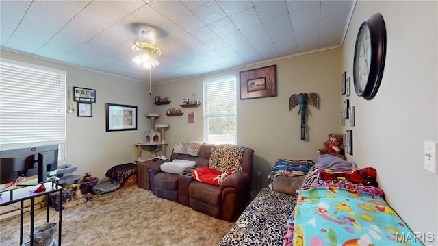8777 State Route 162, Troy, IL 62294 - living area featuring a ceiling fan, crown molding, and carpet flooring