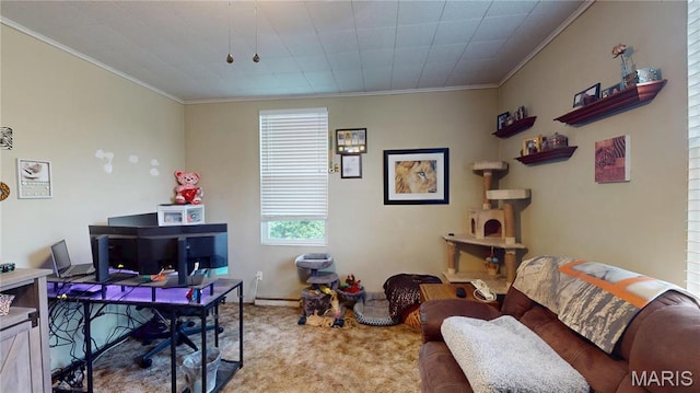 8777 State Route 162, Troy, IL 62294 - carpeted home office featuring crown molding