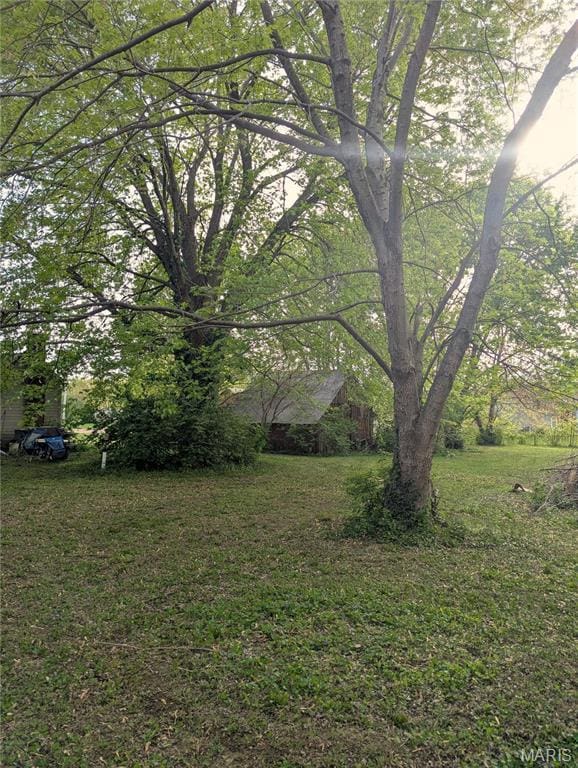 8777 State Route 162, Troy, IL 62294 - view of green lawn