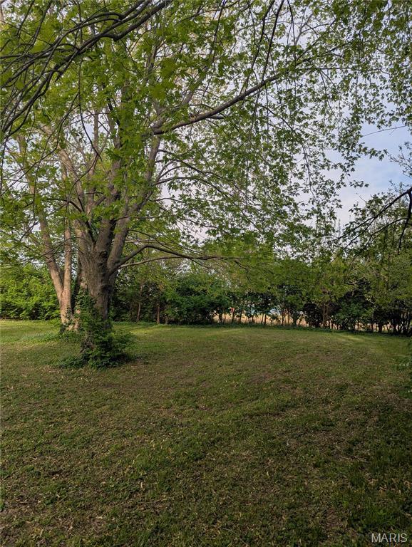 8777 State Route 162, Troy, IL 62294 - view of yard