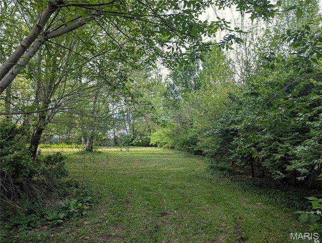 8777 State Route 162, Troy, IL 62294 - view of green lawn featuring a forest view