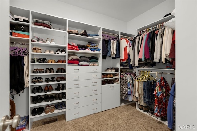 341 Brunhaven Ct, Chesterfield, MO 63017 - spacious closet featuring carpet floors