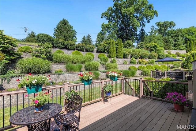 341 Brunhaven Ct, Chesterfield, MO 63017 - view of wooden deck