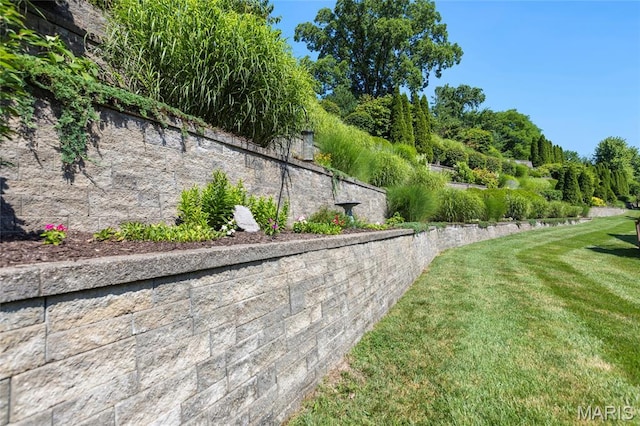 341 Brunhaven Ct, Chesterfield, MO 63017 - view of grassy yard