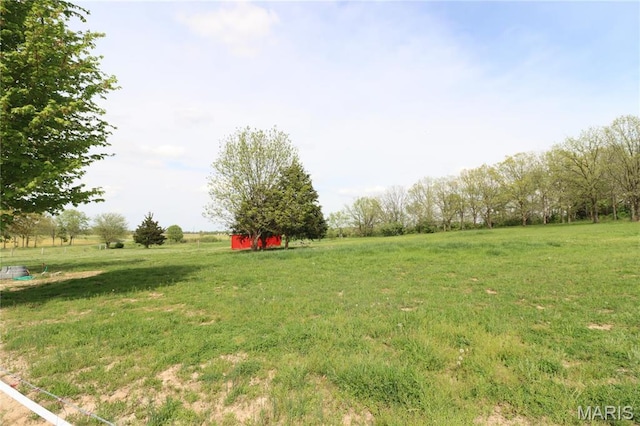 view of grassy yard featuring a rural view