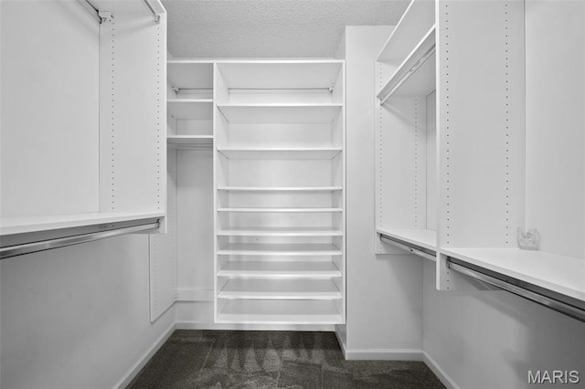 1149 Silo Bnd Unit 341A, Wentzville, MO 63385 - spacious closet featuring dark colored carpet