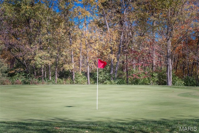 1149 Silo Bnd Unit 341A, Wentzville, MO 63385 - view of property's community featuring view of golf course