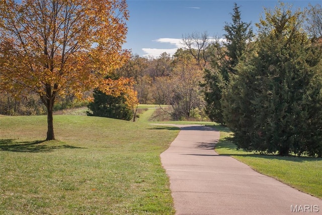 1149 Silo Bnd Unit 341A, Wentzville, MO 63385 - view of home's community with a yard