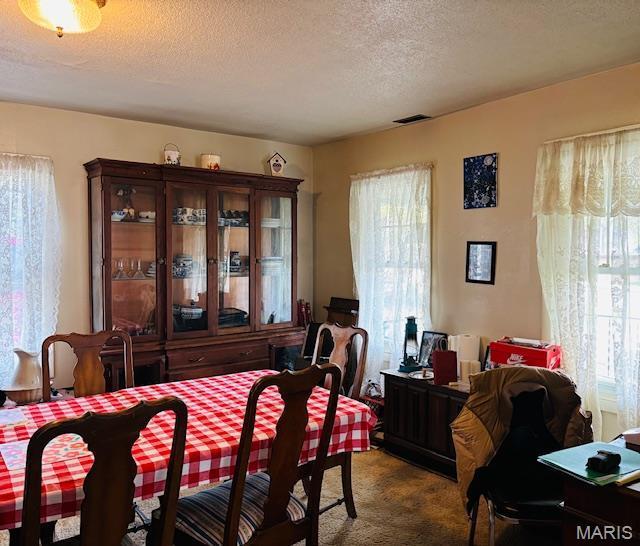 206 1st St, Steelville, MO 65565 - dining area with dark colored carpet, a textured ceiling, and plenty of natural light