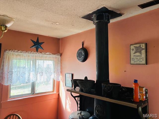 206 1st St, Steelville, MO 65565 - detailed view of a textured ceiling