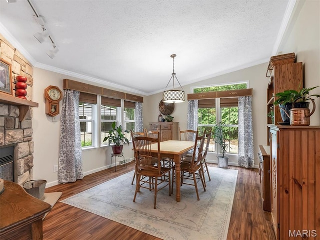 3870 Wilkinson Rd, De Soto, MO 63020 - dining area with healthy amount of natural light, track lighting, a stone fireplace, a textured ceiling, and wood finished floors
