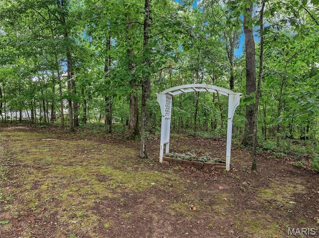 3870 Wilkinson Rd, De Soto, MO 63020 - view of yard