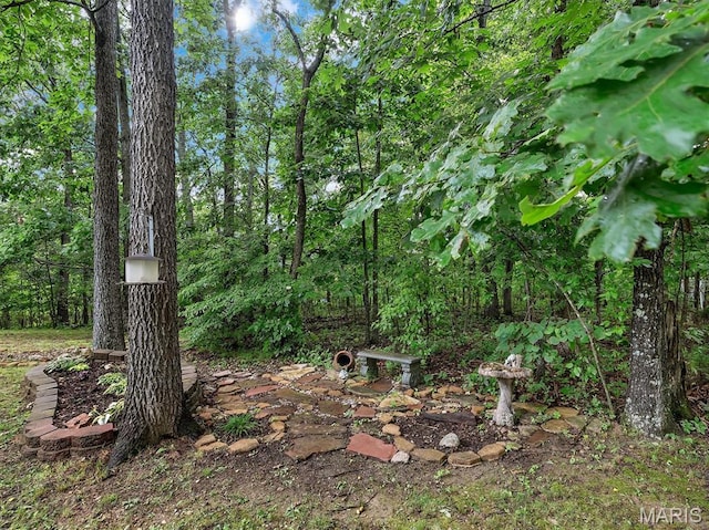 3870 Wilkinson Rd, De Soto, MO 63020 - view of yard