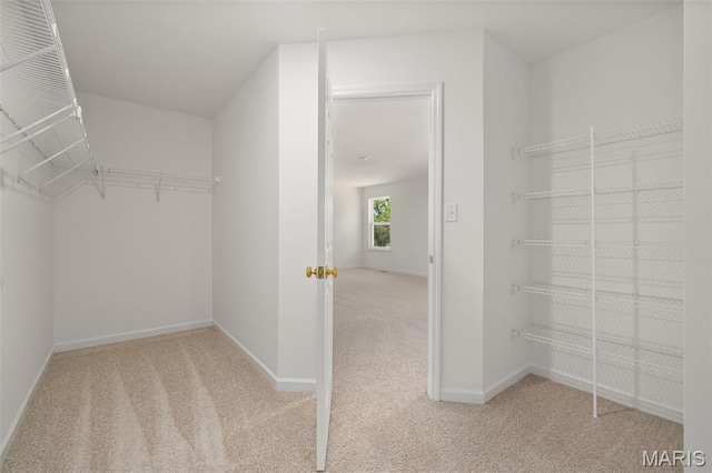 spacious closet with carpet flooring
